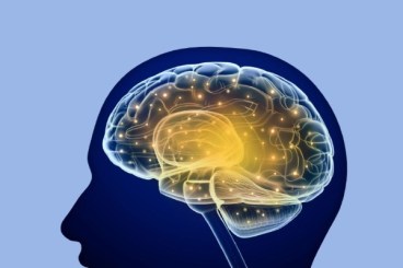 image-neural-training-b-600x400